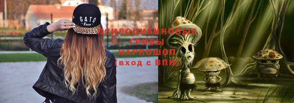 сатива Белокуриха