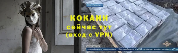 сатива Белокуриха