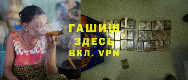 сатива Белокуриха