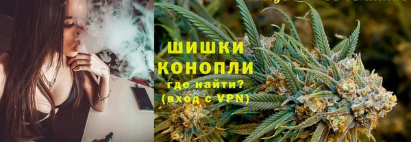 сатива Белокуриха