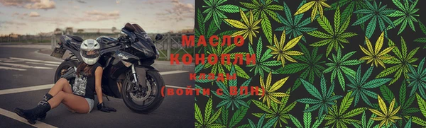 сатива Белокуриха