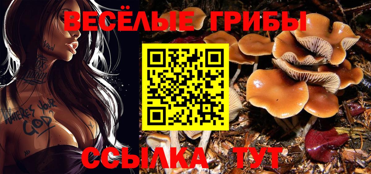 Галлюциногенные грибы Cubensis Верхний Уфалей